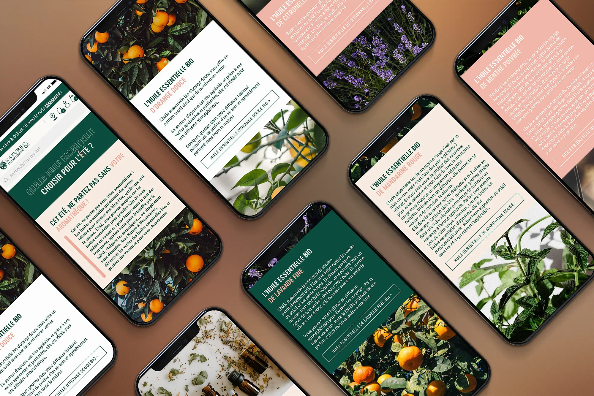Les conseils de Nature & Découvertes — tous les écrans